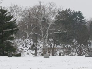 Read more about the article Rural Cemeteries