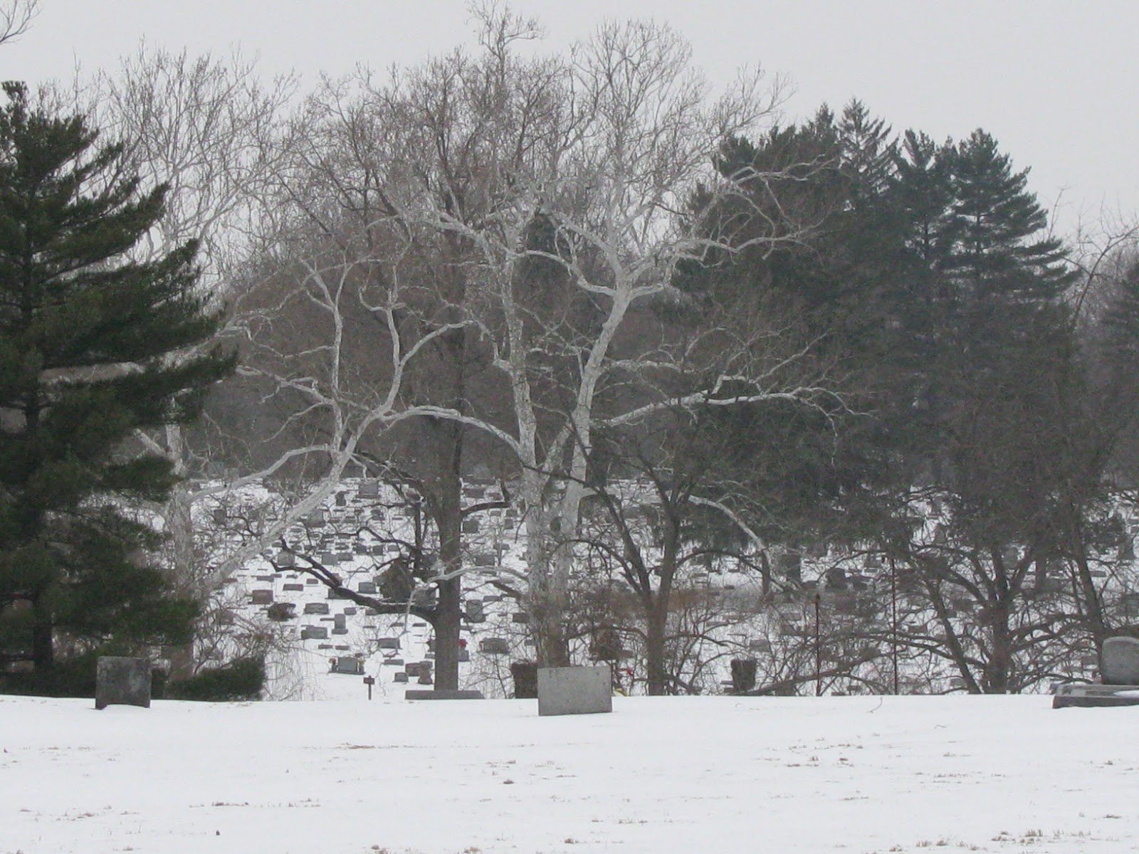 Read more about the article Rural Cemeteries