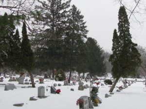 Read more about the article Lawn Cemeteries