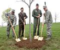 Read more about the article Arbor Day and Those Trees in the Cemetery