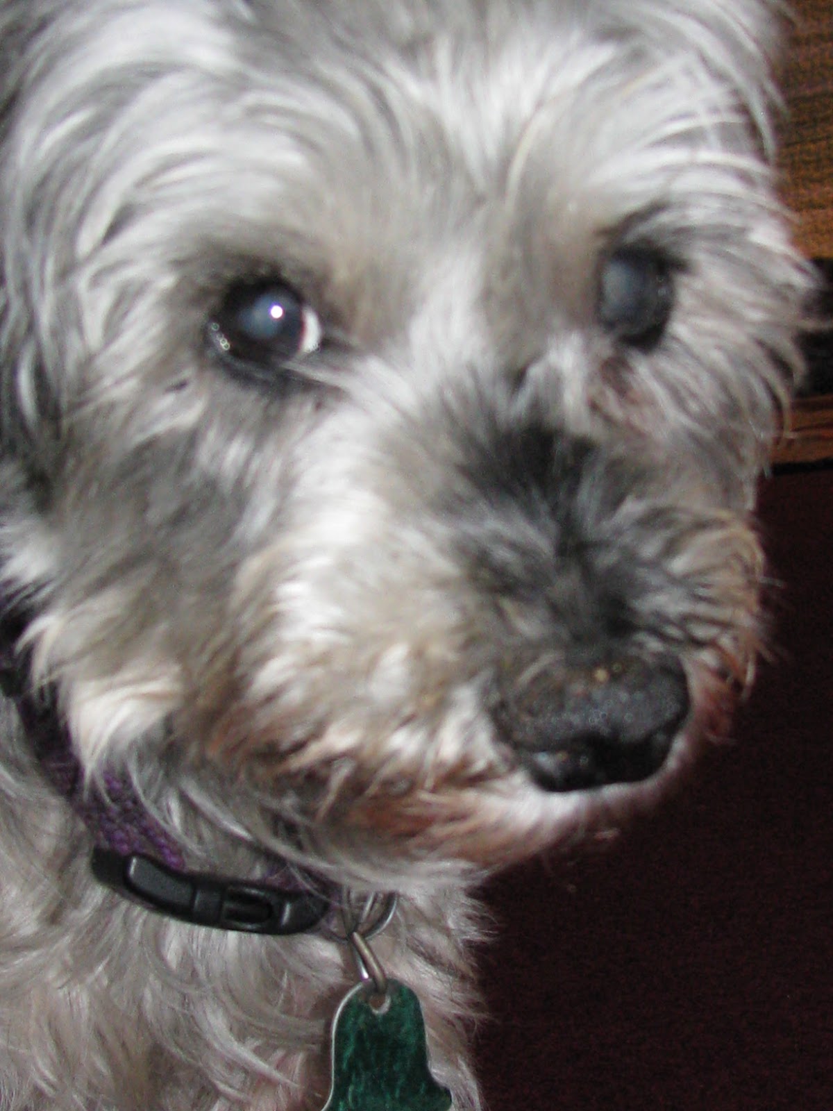 Read more about the article Remembering Gretta