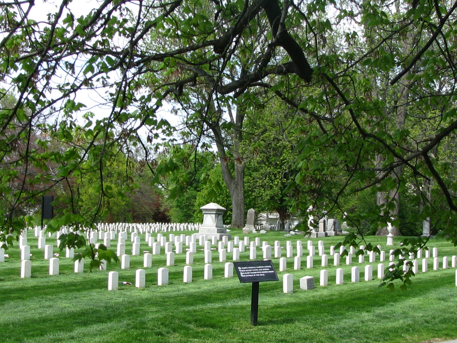 Read more about the article The Making of The National Cemetery System