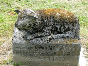 Read more about the article The High Mortality Rate of Infants and Children