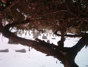Read more about the article Cemeteries Worth the Visit – Highland Lawn Cemetery, Terre Haute, Indiana