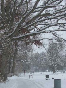 Read more about the article In the Cemetery at the Winter Solstice