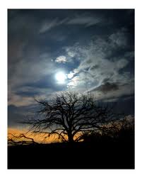 Read more about the article Central State Hosptial (Indiana Insane Asylum) & Cemetery