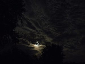 Read more about the article The History of the Ghost Story (and Why We Love Them)