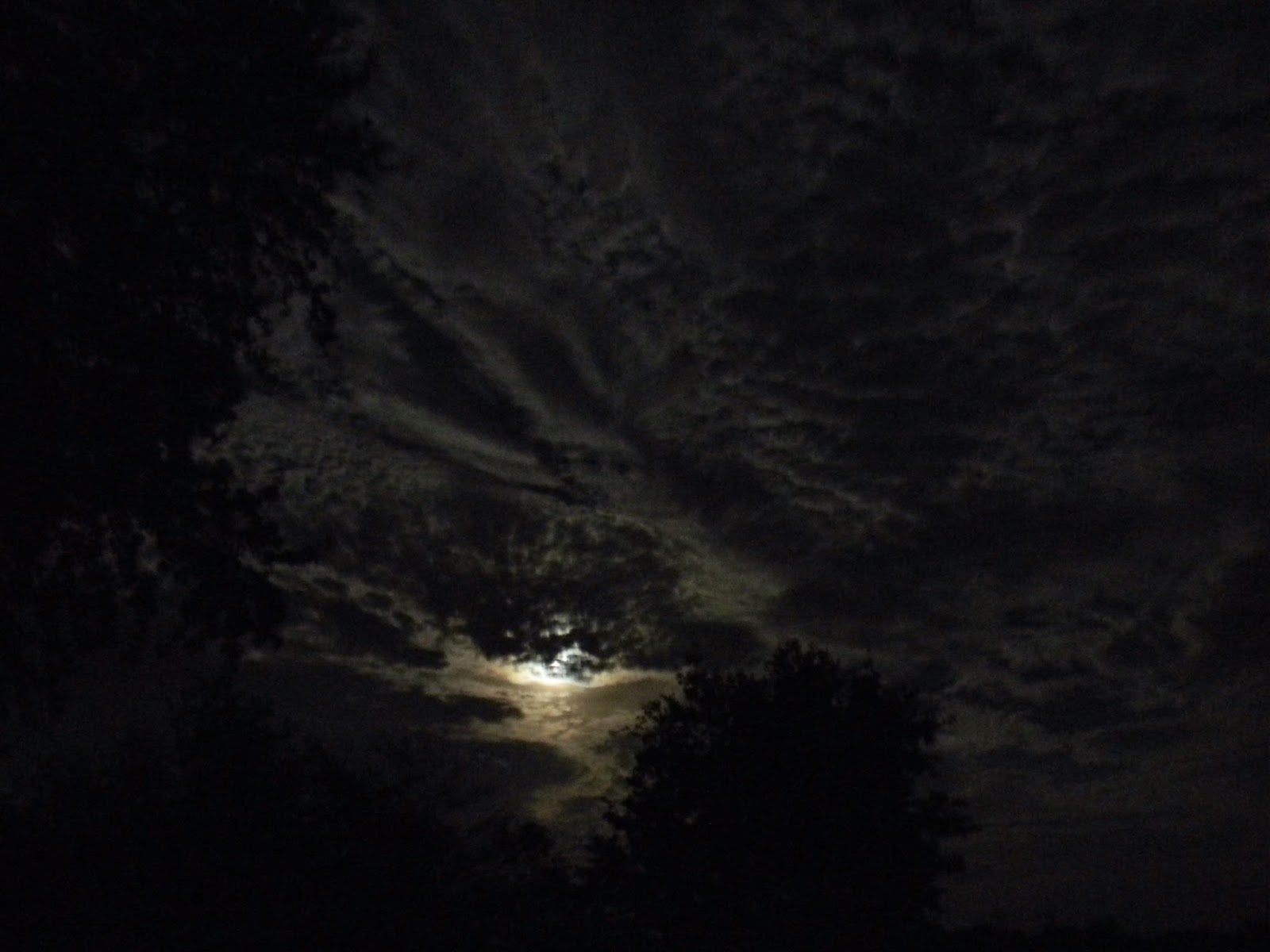 Read more about the article The History of the Ghost Story (and Why We Love Them)