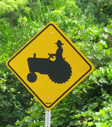 Read more about the article A Grave in the Middle of the Road