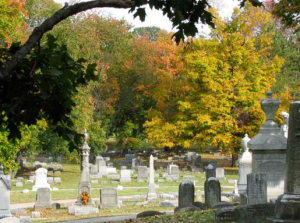 Read more about the article From Cask to Casket: A Wine-ing Approach to Celebrating the End of a Life