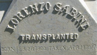 Read more about the article Humor in the Cemetery