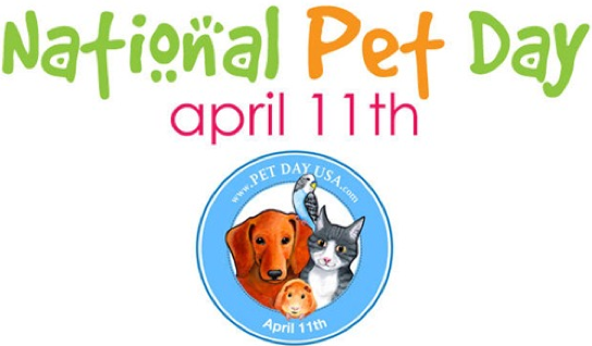 Read more about the article Remembering the Pets On The Titanic