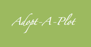 Read more about the article Adopt A Cemetery Plot