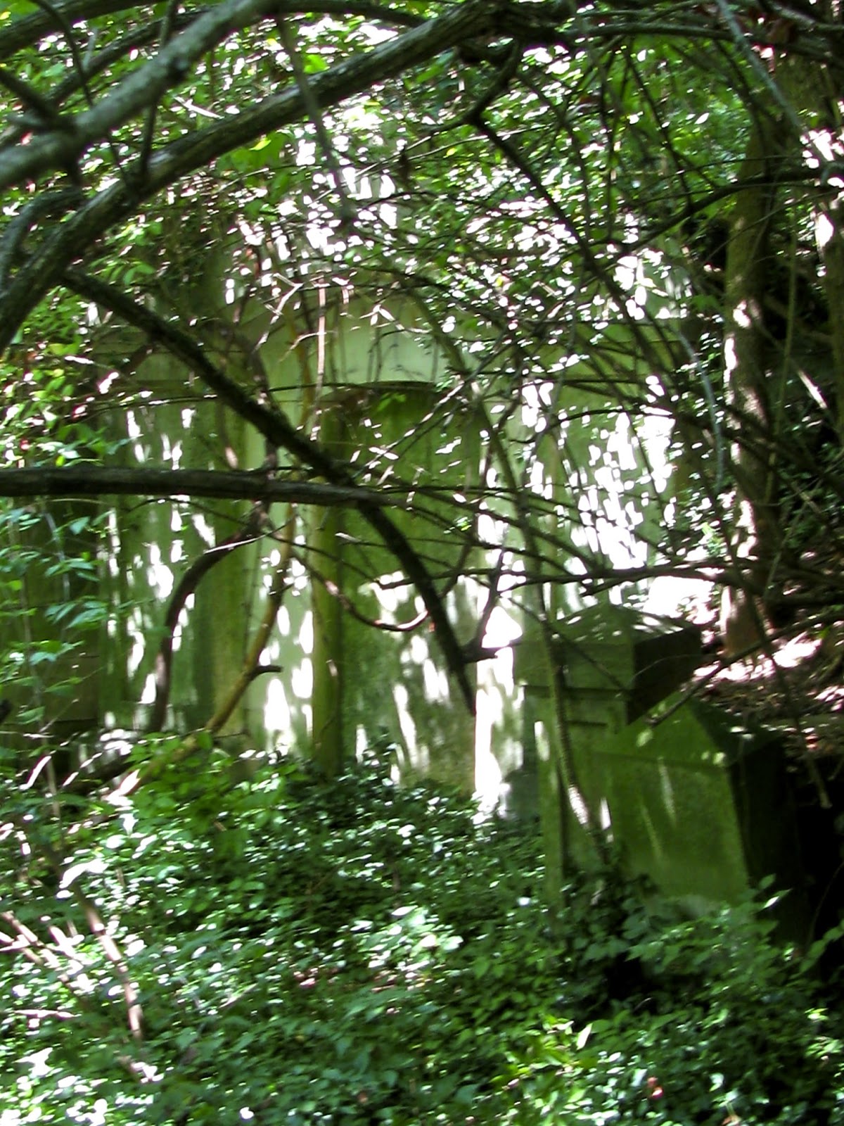 You are currently viewing 6 Ways To Invite The Community Into Your Cemetery