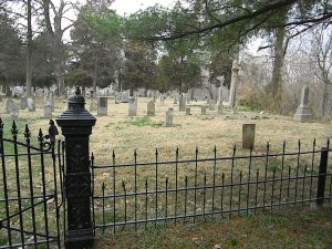 Read more about the article Looking For The Green Reaper