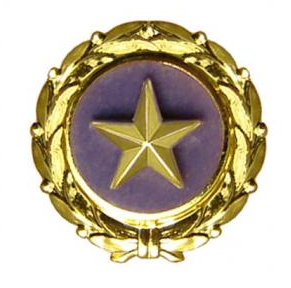 You are currently viewing Gold Star Families