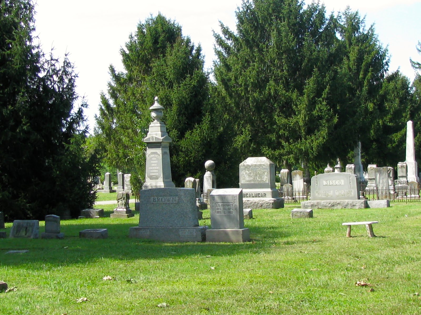 Read more about the article Cedars in the Cemetery