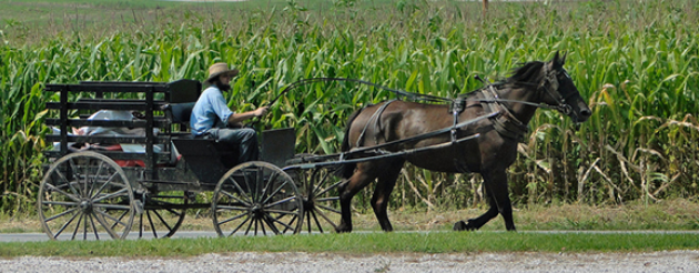 You are currently viewing Worth a Visit: Gill’s Funeral Practices Exhibit