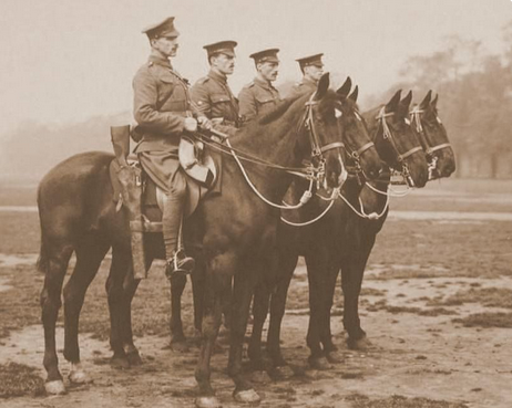 You are currently viewing The Tradition of the Riderless Horse