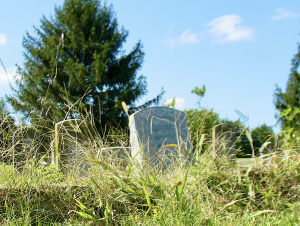 Read more about the article Forgotten Cemeteries